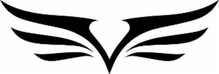 V logo