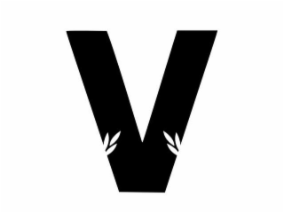 V logo