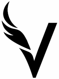 V logo