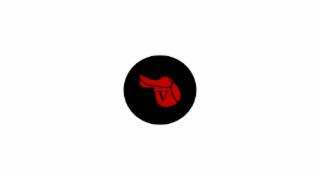 V logo