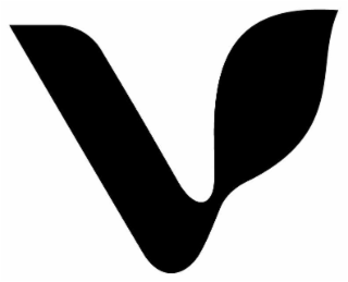 V logo
