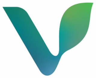 V logo