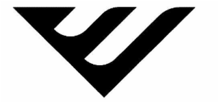 V logo
