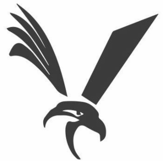 V logo