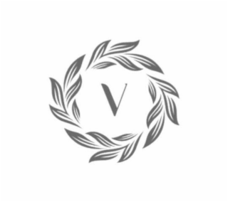 V logo