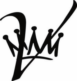 V logo