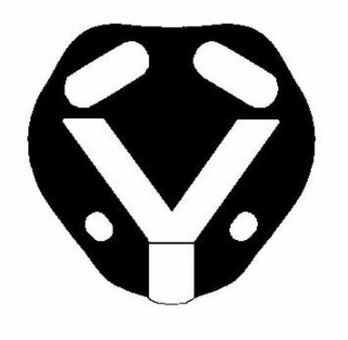 V logo
