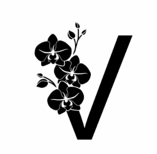 V logo