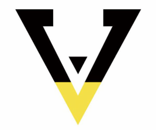 V logo