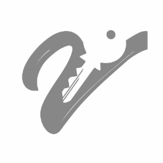 V logo