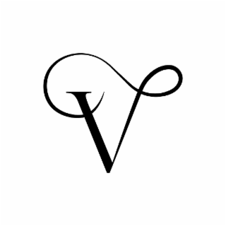 V logo