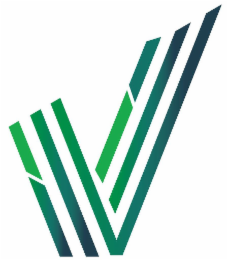 V logo