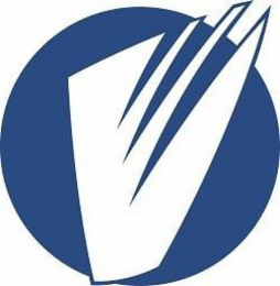 V logo