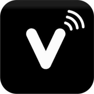 V logo
