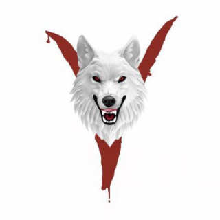 V logo