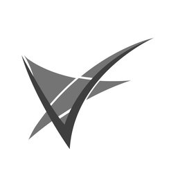 V logo