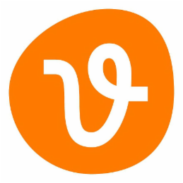 V logo