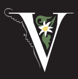 V logo