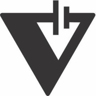 V logo