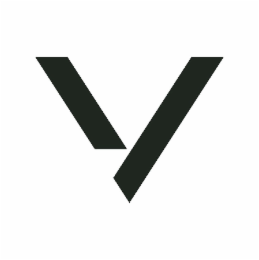 V logo