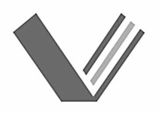 V logo