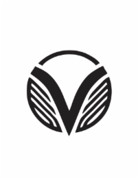 V logo