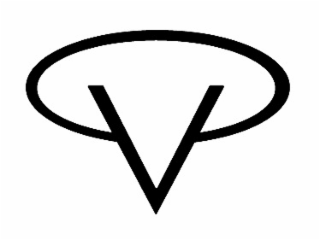V logo