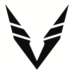 V logo