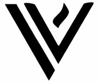 V logo