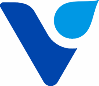 V logo