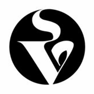 V logo