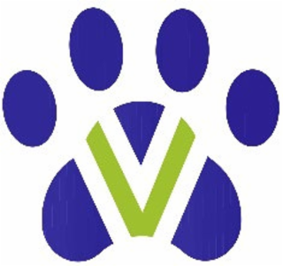 V logo