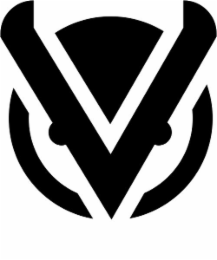 V logo