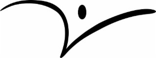 V logo