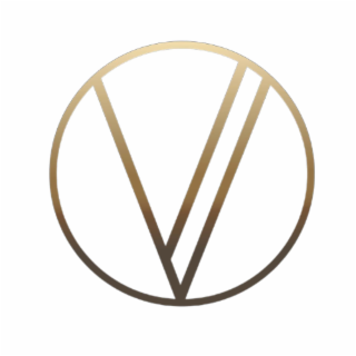 V logo