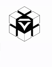 V logo