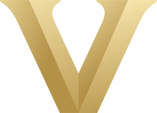 V logo