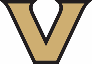 V logo