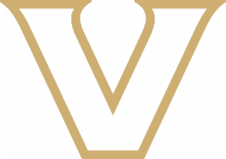 V logo