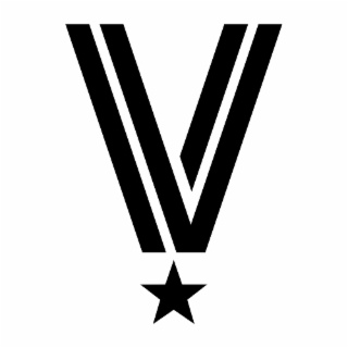V logo