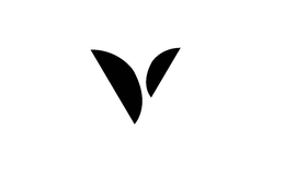 V logo