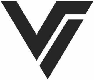 V logo