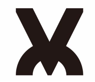 V logo
