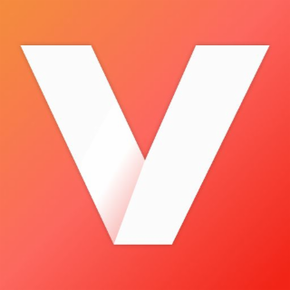 V logo