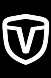 V logo