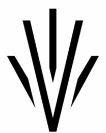 V logo