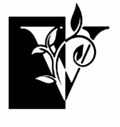 V logo