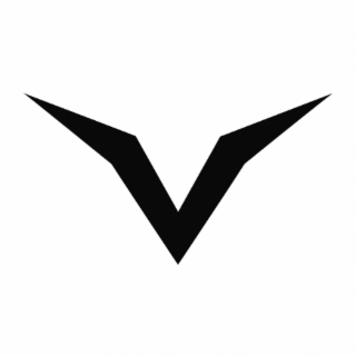 V logo