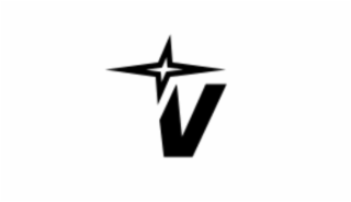 V logo