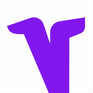 V logo